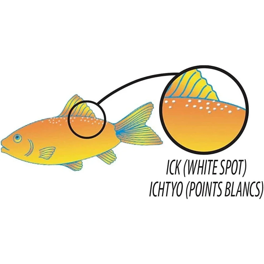 Tetra Ick Guard 8 Fizz Tablets Treats Up To 80 Gallon Freshwater Aquarium New
